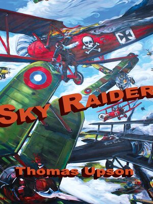cover image of Sky Raider